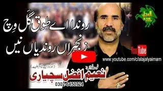 NOHA | RONDA E TOQ GAL WICH | NAEEM AFZAL SACHYARI | alajalyaimam
