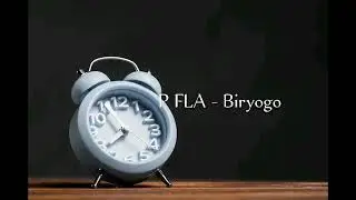 P FLA - BIRYOGO (2025)