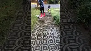 This Accidental Driveway Art is GENIUS! 🎨