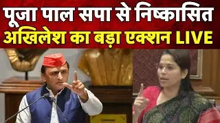 Pooja pal expelled from sp party LIVE : पूजा पाल सपा से निष्कासित, अखिलेश का बड़ा एक्शन | UP News