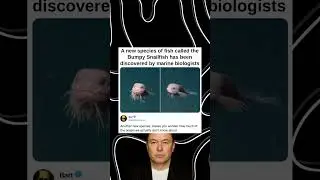 A new species of fish called the Bumpy Snailfish has been discovered by marine biologists