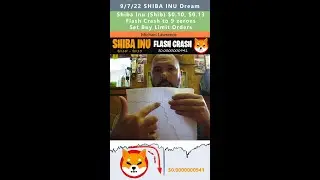 $0.10 to $0.13 Shiba Inu (Shib), Flash Crash to 9 zeroes dream - Michael Lawrence 9/7/22
