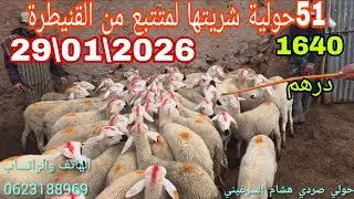 بسم الله #51حولية #شريتها لمتتبع من #القنيطرة 29\01\2026