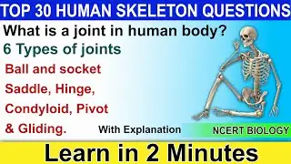 What are joints in human body? | Definition of joints | What are the 6 Types of joints in human body