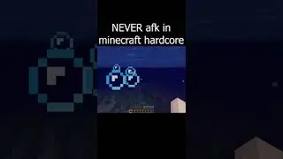 dont afk in hardcore minecraft