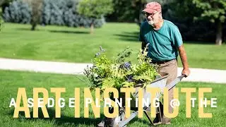 Sedge Planting At The Art Institute In Chicago  Episode #193