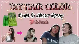 DIY HAIR COLOR using DUST & SILVER GRAY (No Bleach) || Al Miray ||