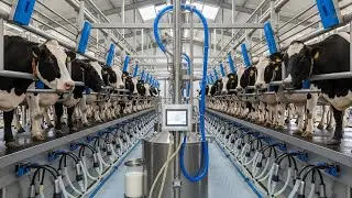 Inside a Modern Milk Factory | How Milk Is Collected, Processed & Packed
