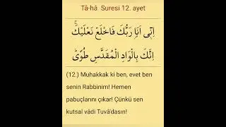 Sure Taha Ayet 12