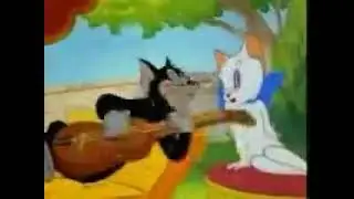 VID 20170603 WA0000