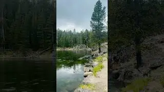Yellowstone river, WY #nature #explore #camping #shorts #hiking #fishing #salmon #flyfishing #yt