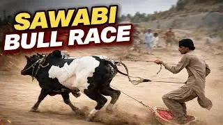 Bull Race 💪 | Sawabi Jalsa Pakistan | Amazing Talent 