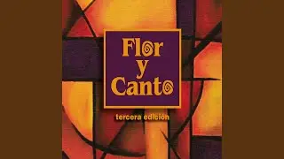 Cordero de Dios
