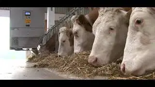 GEA Farm Technologies take your farm to the next level 💪🐄