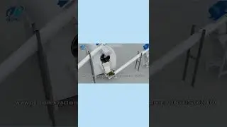 Small scale cooking oil production line video