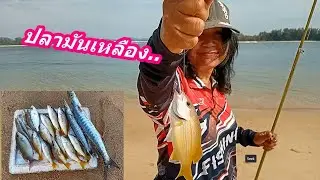 ตกปลามันเหลืองปากคลองสารสิน