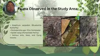 Video Documentary: Ecological Exploration of Bukit Maxwell : Biodiversity and conservation Insights