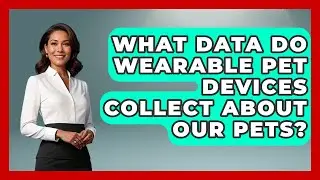 What Data Do Wearable Pet Devices Collect About Our Pets? | TeleVet Talk News