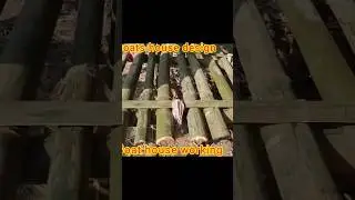 goat house working ! goat house design kaise kiya dekhlo Bhai #shorts #youtube #youtubeshort