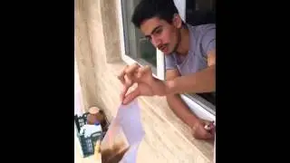 Ashkan vines 20 - kurdish vines