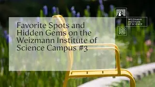 Favorite Spots and Hidden Gems on the Weizmann Institute of Science Campus #3
