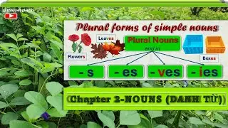 🔴CHAPTER 2 - NOUNS 2026  ►Plural Forms of Simple Nouns