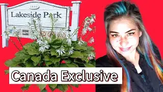 Canada lake view park excursion with us let's 😉 enjoy.#travel #canada dairy. 