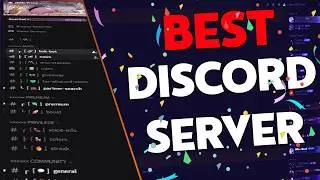 This Discord Server is Literally Perfect (Best Discord Server)