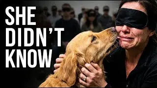 When Dog Choose No one At Blind Fold... 😭 Until This Moment Melts Your Heart ❤️🐶