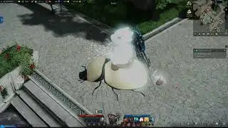 White Scarab Mount, Lost Ark