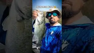 Lake Perris Spawn Bass Fishing 2025 #fishing #lakeperris #jangomike #spawn #bass