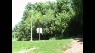Dry Run Creek Site 7