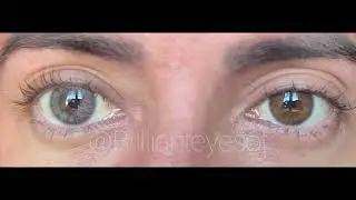 Siesta Identity Cloud Walking | BRILLINAT EYES #colorcl