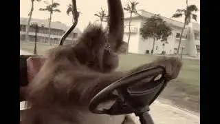 #cold #monkeyedit MONKEY EDIT