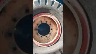 #funny #pets tyre market