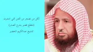 لكل من تضجر من الفتن التي انتشرت... الشيخ عبدالكريم الخضير