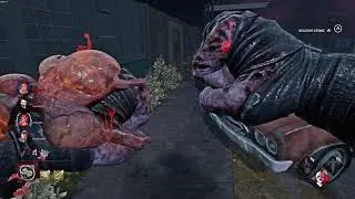 Adept Nemesis
