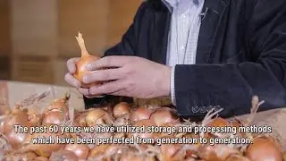 more than just an onion - Year-round Availability