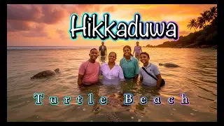 Sea Turtles -Turtles Beach Hikkaduwa Sri Lanka - Hikkaduwa - හික්&zwj;කඩුව වෙරළ තිරය