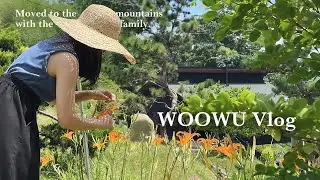 金針花季Vlog｜採購菜苗＆古早味剉冰｜參觀鄰居的吉卜力溫室｜手沖冰拿鐵