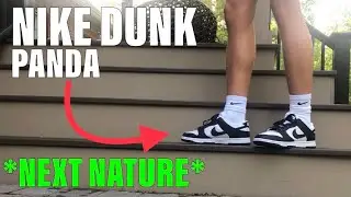Nike Dunk Low PANDA *next nature* (ON FEET)