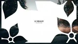 Le Brave - Survie (Original Mix)
