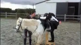 Hippotherapie @Haverenhof Zemst
