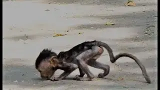 Your tear will drop when u see this video, poor baby Heidi with really skinny and weakness,