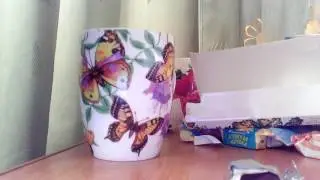 VIDEO0009