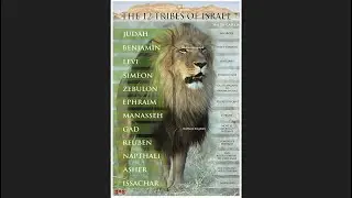The Tribes of Levi and Simeon: So-Called Haitians and Dominicans