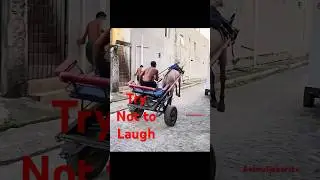 Wild Fails & Funny Tails! #entertaininganimals #animalclips #animals #animalvideos #funny #pets
