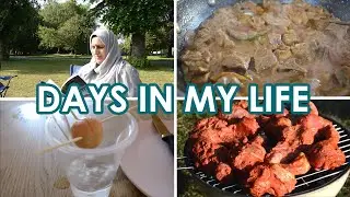 Days in my life, mutton curry, how to grow an avocado plant