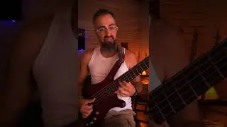 Raphael DuValle - Samba do Avi&atilde;o (Tom Jobim) Cover #warwick #bass #basscover