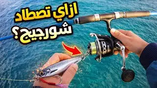 طريقة الصيد شور جيج من الشاطئ 